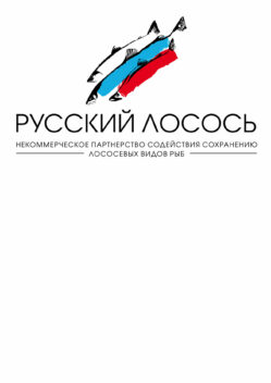 RSFlogo_pict_2